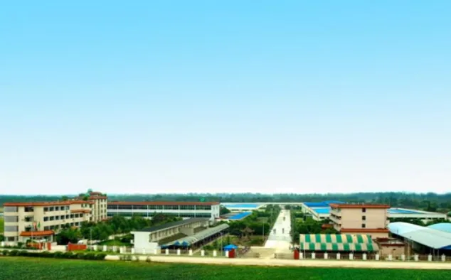 四川省成都市新津事丰医疗器械有限公司